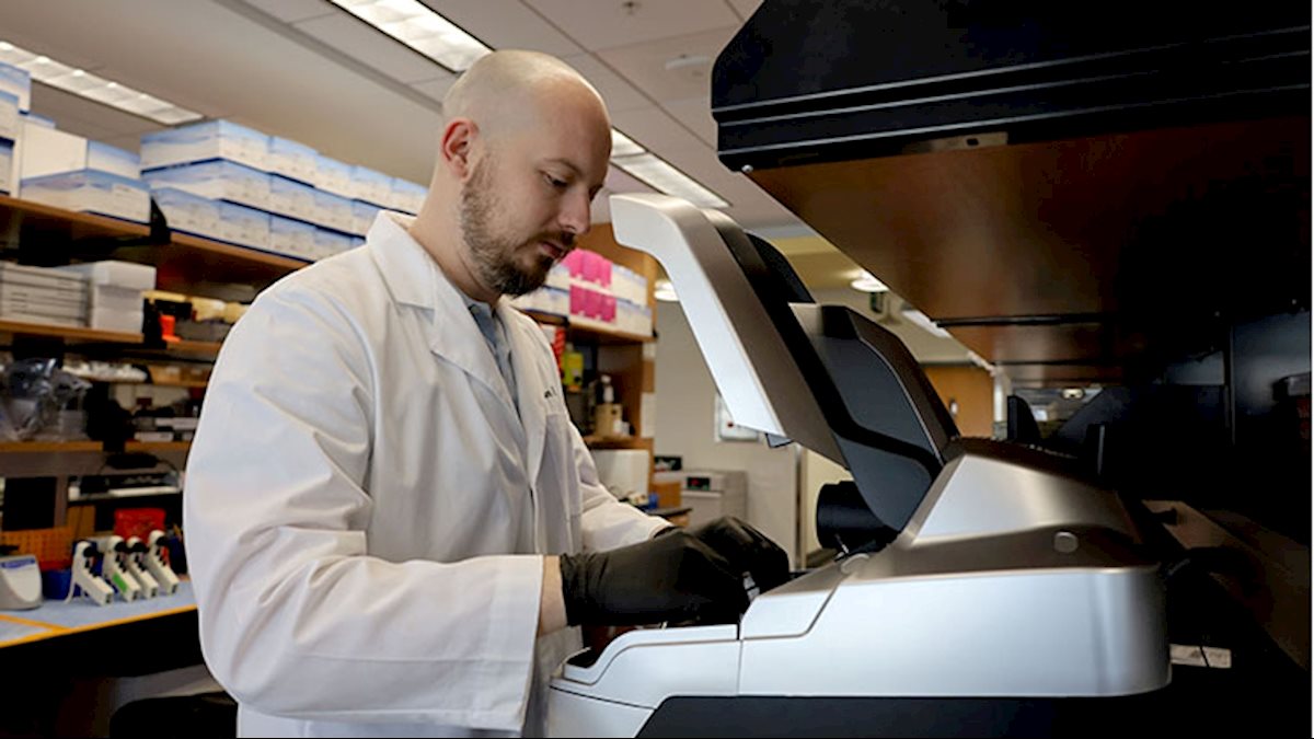 WVU, Rockefeller Neuroscience Institute, and Cancer Institute receive grant for collaborative research on breast cancer treatment