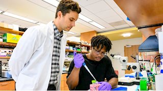 WVU scientists magnify vision studies with Research to Prevent Blindness Grant