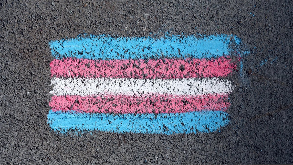 WVU Student Nurses’ Association to host Trans Safe Zone Training ...