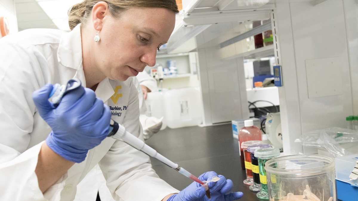 WVU Vaccine Development Center and Leidos team up to explore new immunotherapy pathway